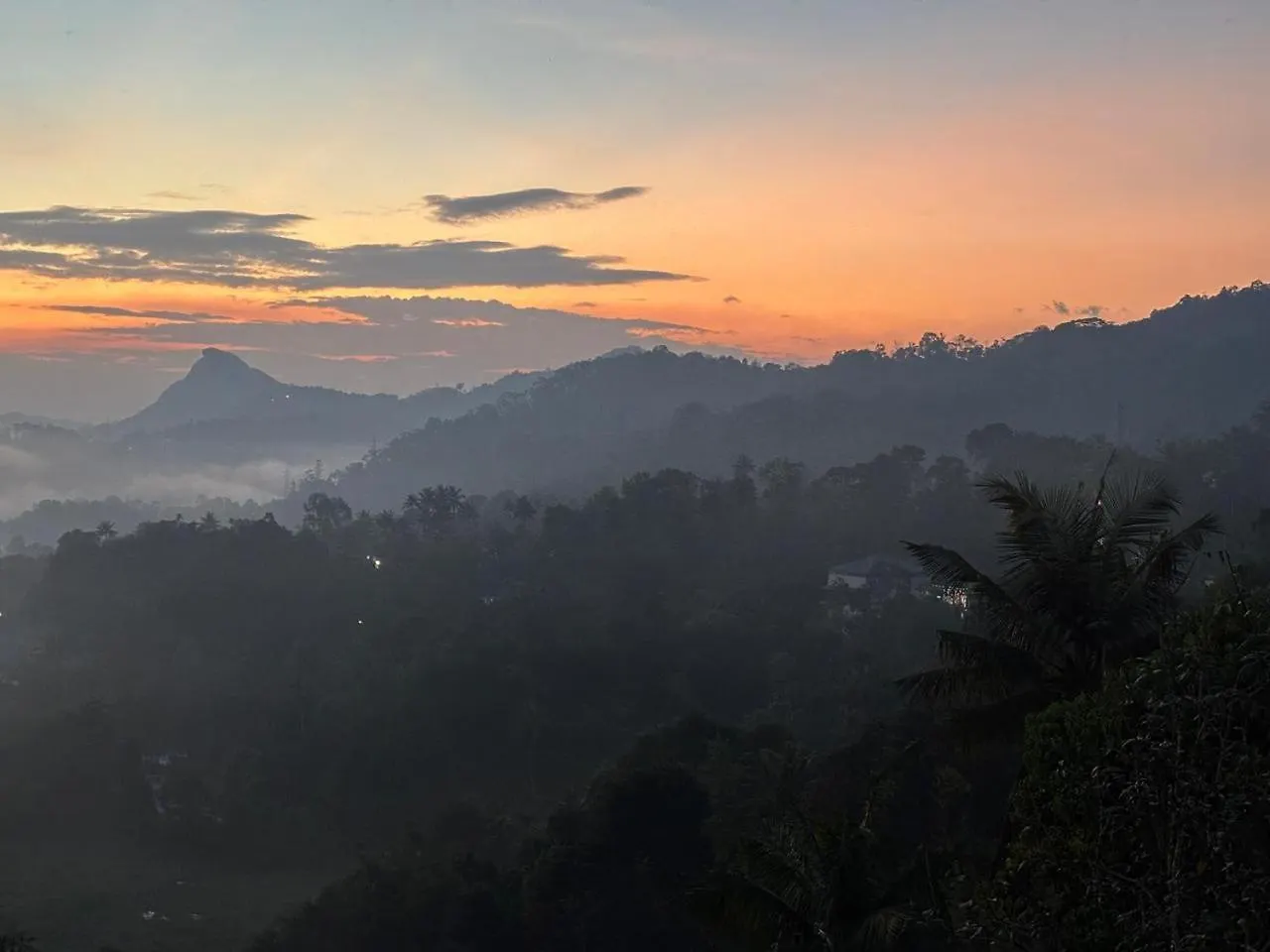Breezevalley Resort Munnar Hotel